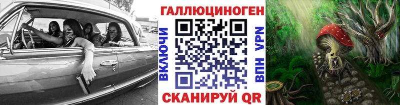закладки  Велиж  Псилоцибиновые грибы прущие грибы 